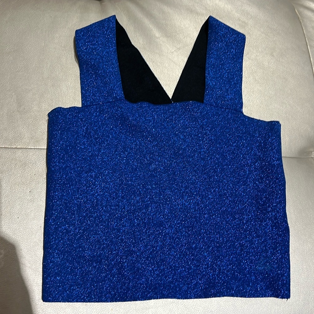ALC size medium sparkly blue fitted  crop top